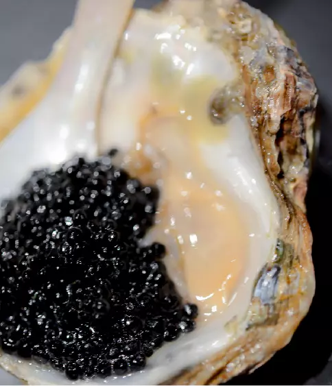 caviar pasion combinar