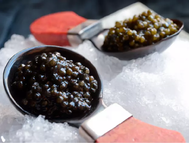 caviar pasion degustar